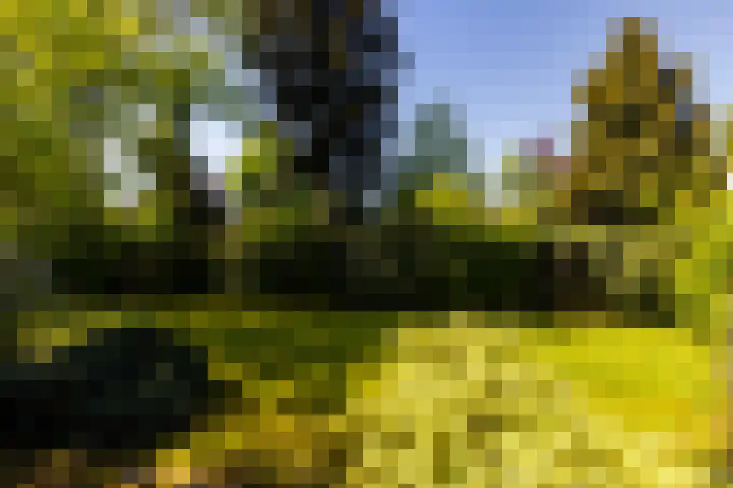 Brinkenhorst 5 Hoog-Keppel thumbnail 12