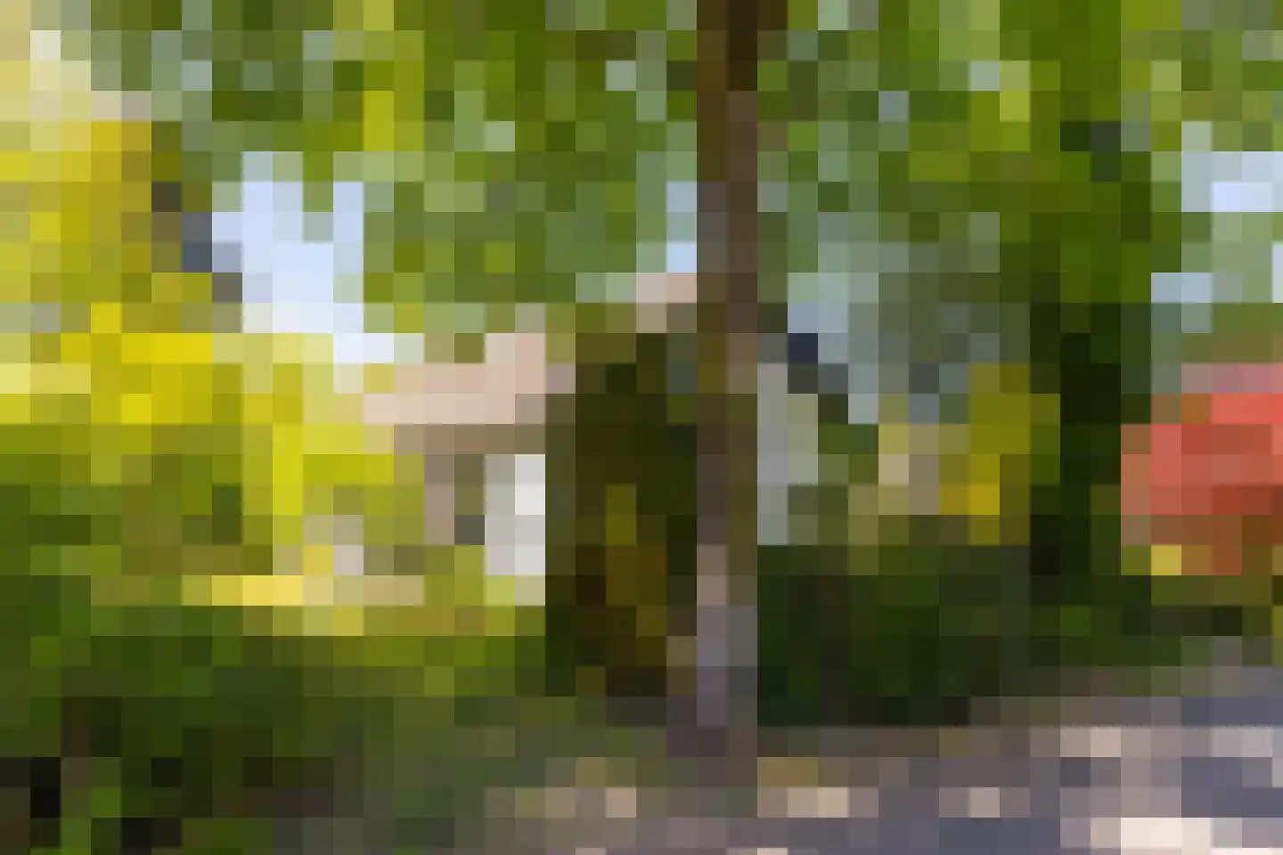 Brinkenhorst 5 Hoog-Keppel thumbnail 6