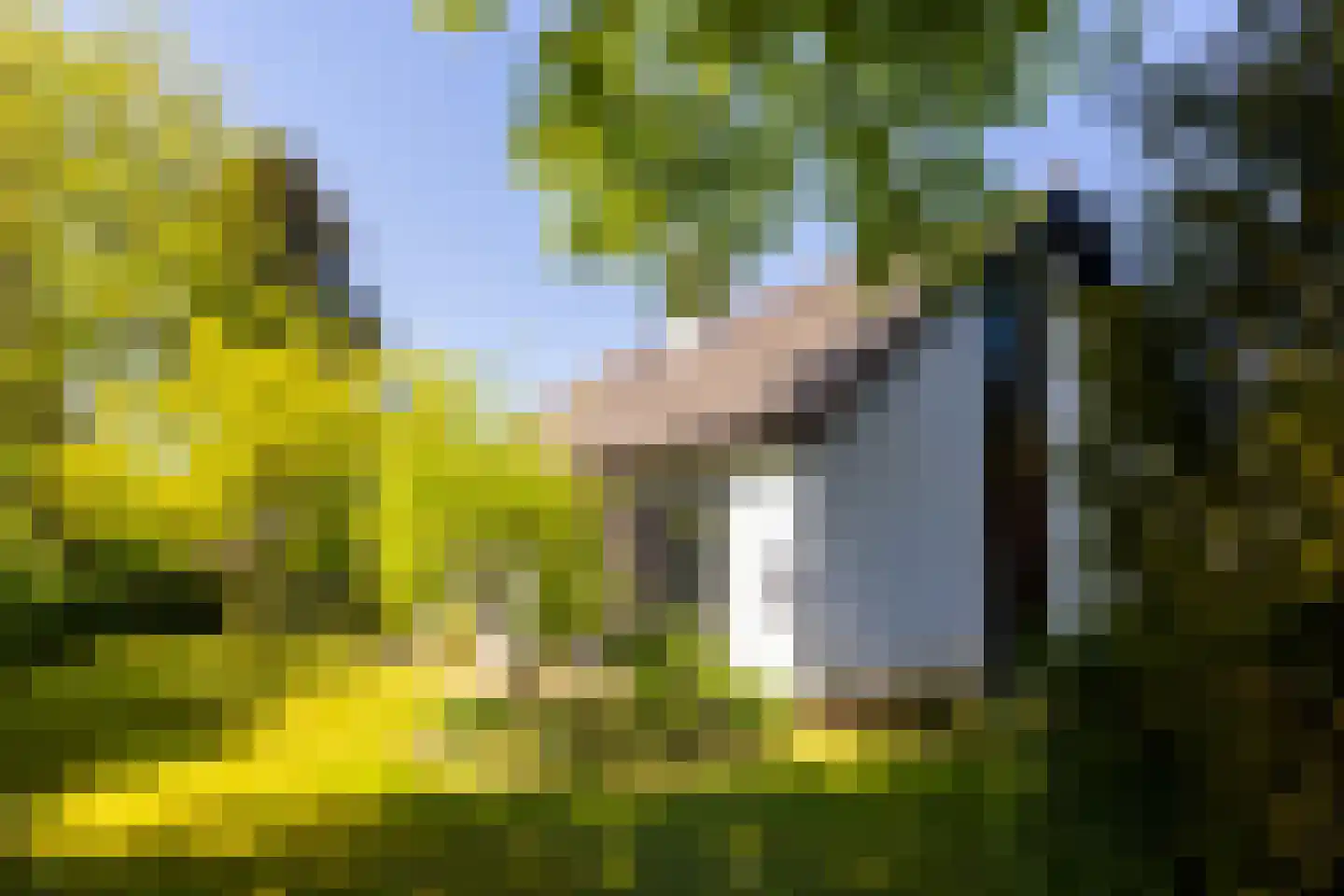Brinkenhorst 5 Hoog-Keppel thumbnail 7