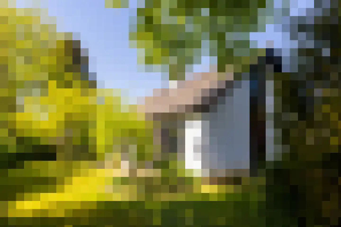 Brinkenhorst 5 Hoog-Keppel thumbnail 8