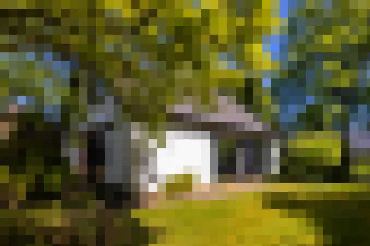 Brinkenhorst 5 Hoog-Keppel thumbnail 9