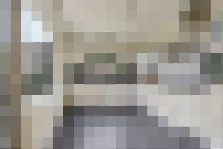 Brinkerhof 14 Vorden thumbnail 15