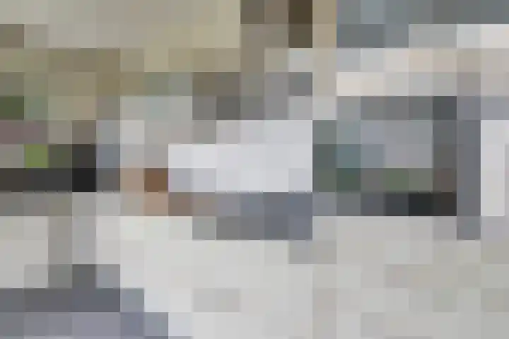 Brinkerhof 14 Vorden thumbnail 16