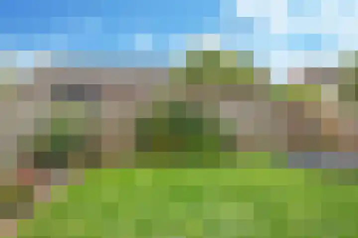 Brinkerhof 14 Vorden thumbnail 24