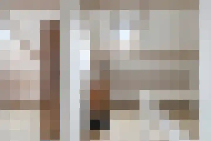 Brinkerhof 14 Vorden thumbnail 40