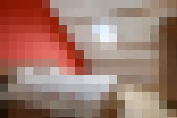 Brinkerhof 14 Vorden thumbnail 42