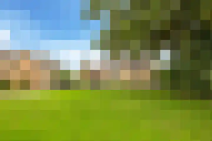 Brinkerhof 14 Vorden thumbnail 45
