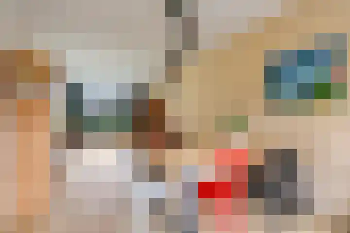 Brinkerhof 14 Vorden thumbnail 8