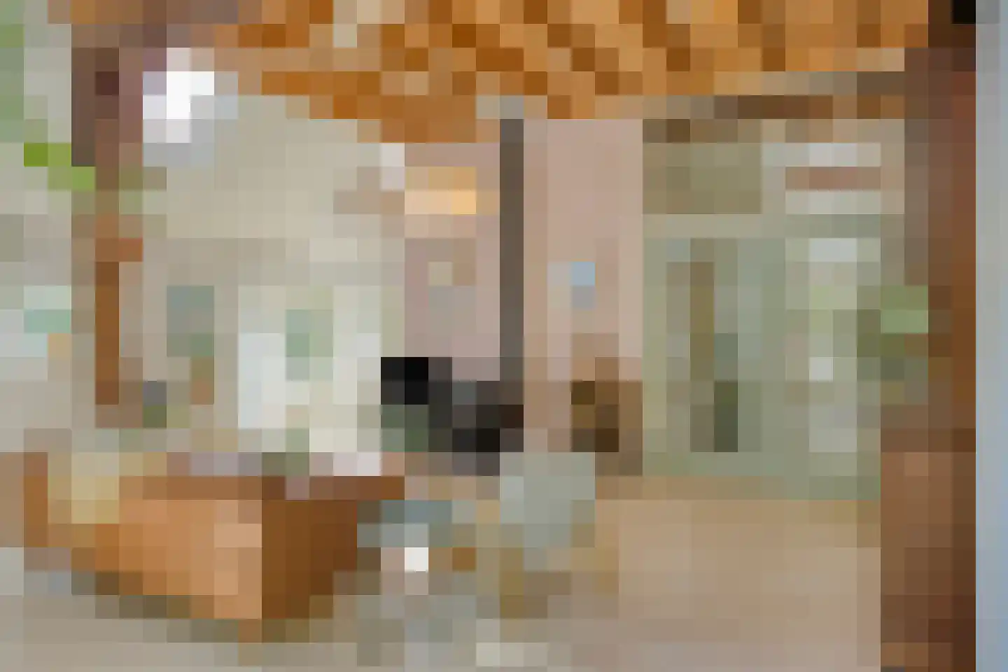 Brinkerinkweg 4 a Barchem thumbnail 12