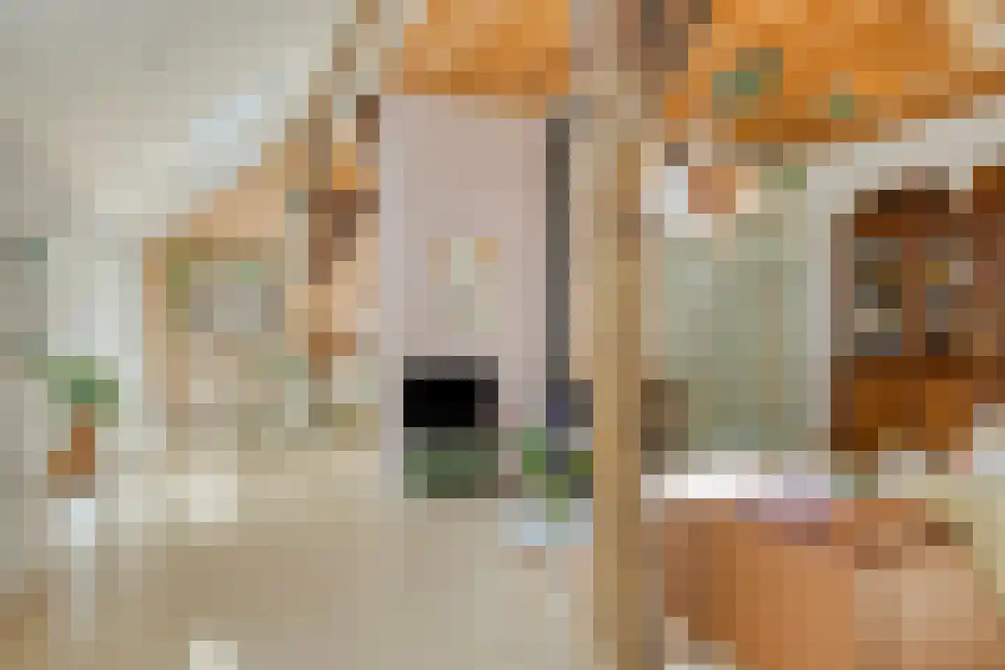 Brinkerinkweg 4 a Barchem thumbnail 14