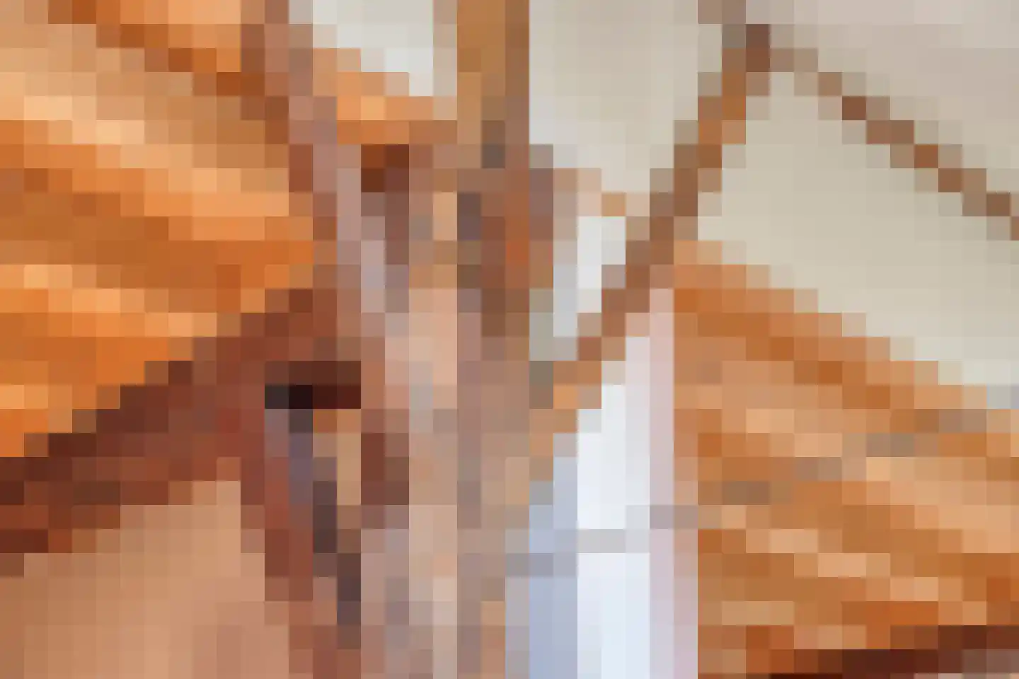 Brinkerinkweg 4 a Barchem thumbnail 15