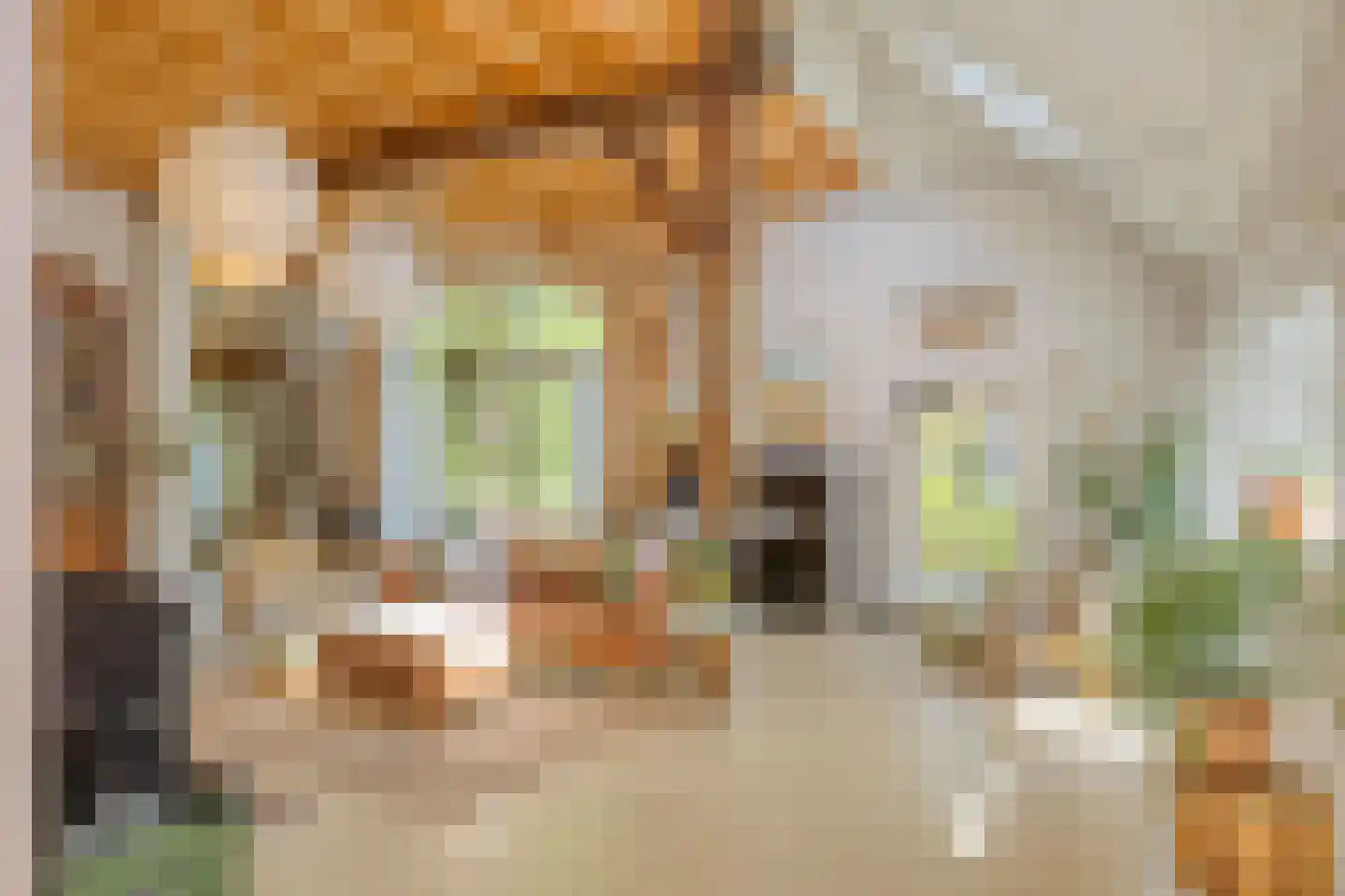 Brinkerinkweg 4 a Barchem thumbnail 18