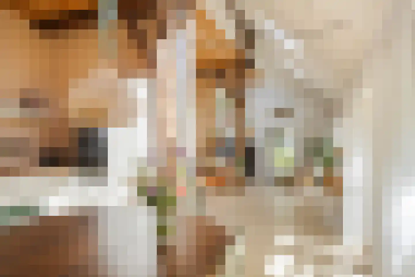 Brinkerinkweg 4 a Barchem thumbnail 24