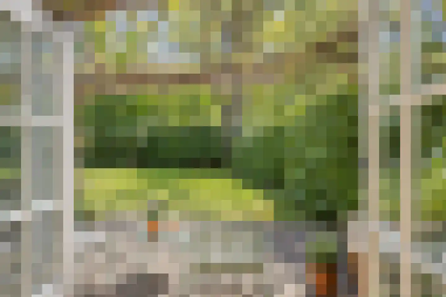 Brinkerinkweg 4 a Barchem thumbnail 29