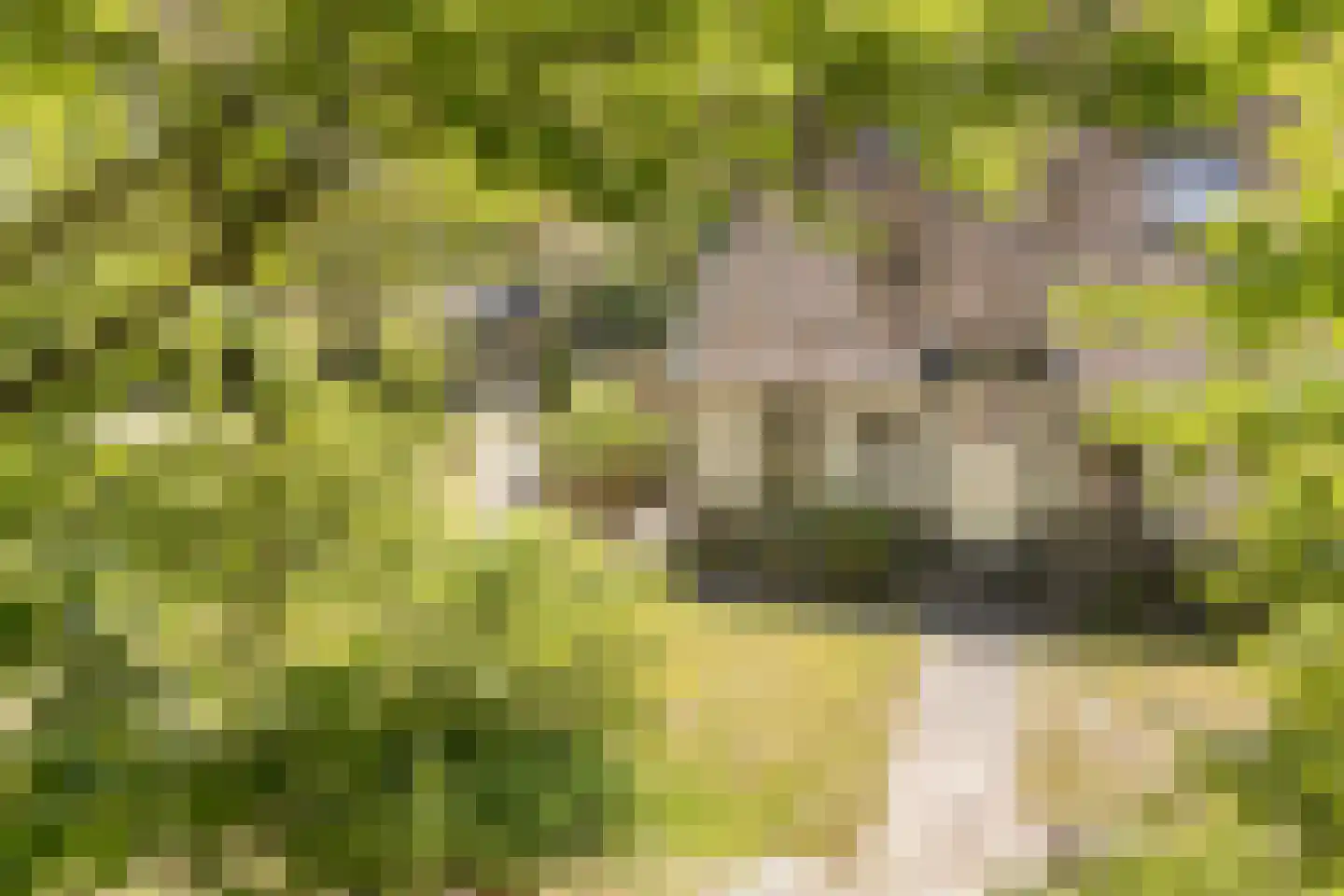 Brinkerinkweg 4 a Barchem thumbnail 30