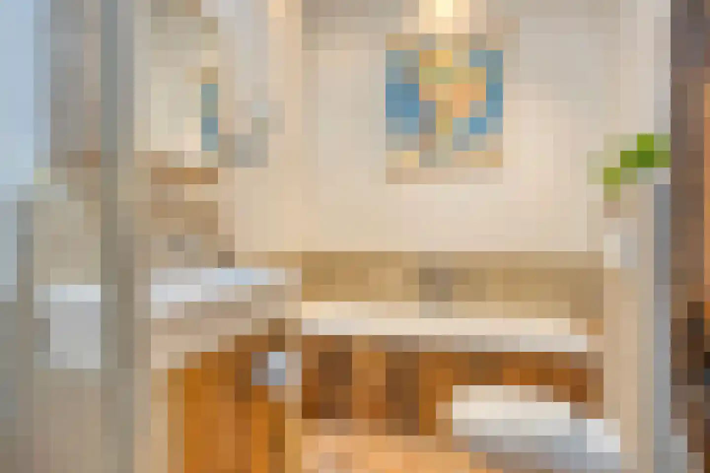 Brinkerinkweg 4 a Barchem thumbnail 38