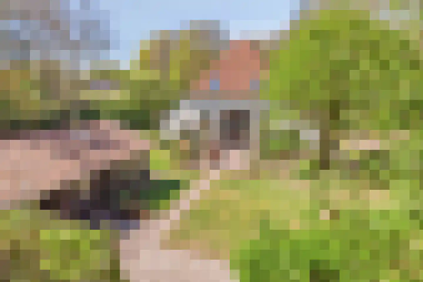 Brinkerinkweg 4 a Barchem thumbnail 4