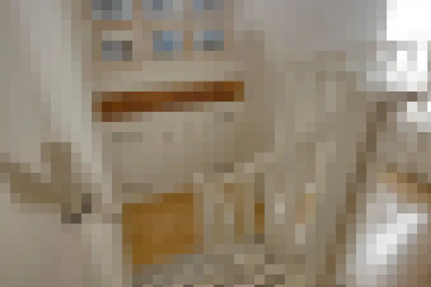 Brinkerinkweg 4 a Barchem thumbnail 40