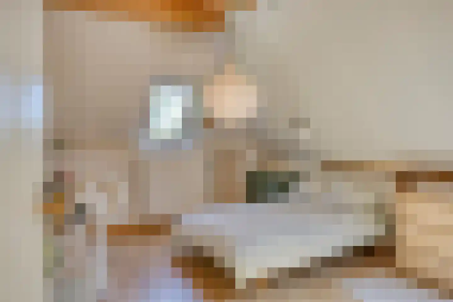 Brinkerinkweg 4 a Barchem thumbnail 42