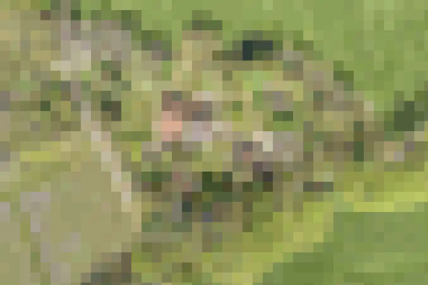 Brinkerinkweg 4 a Barchem thumbnail 5