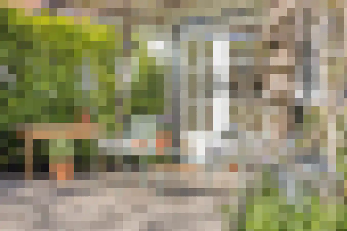 Brinkerinkweg 4 a Barchem thumbnail 51