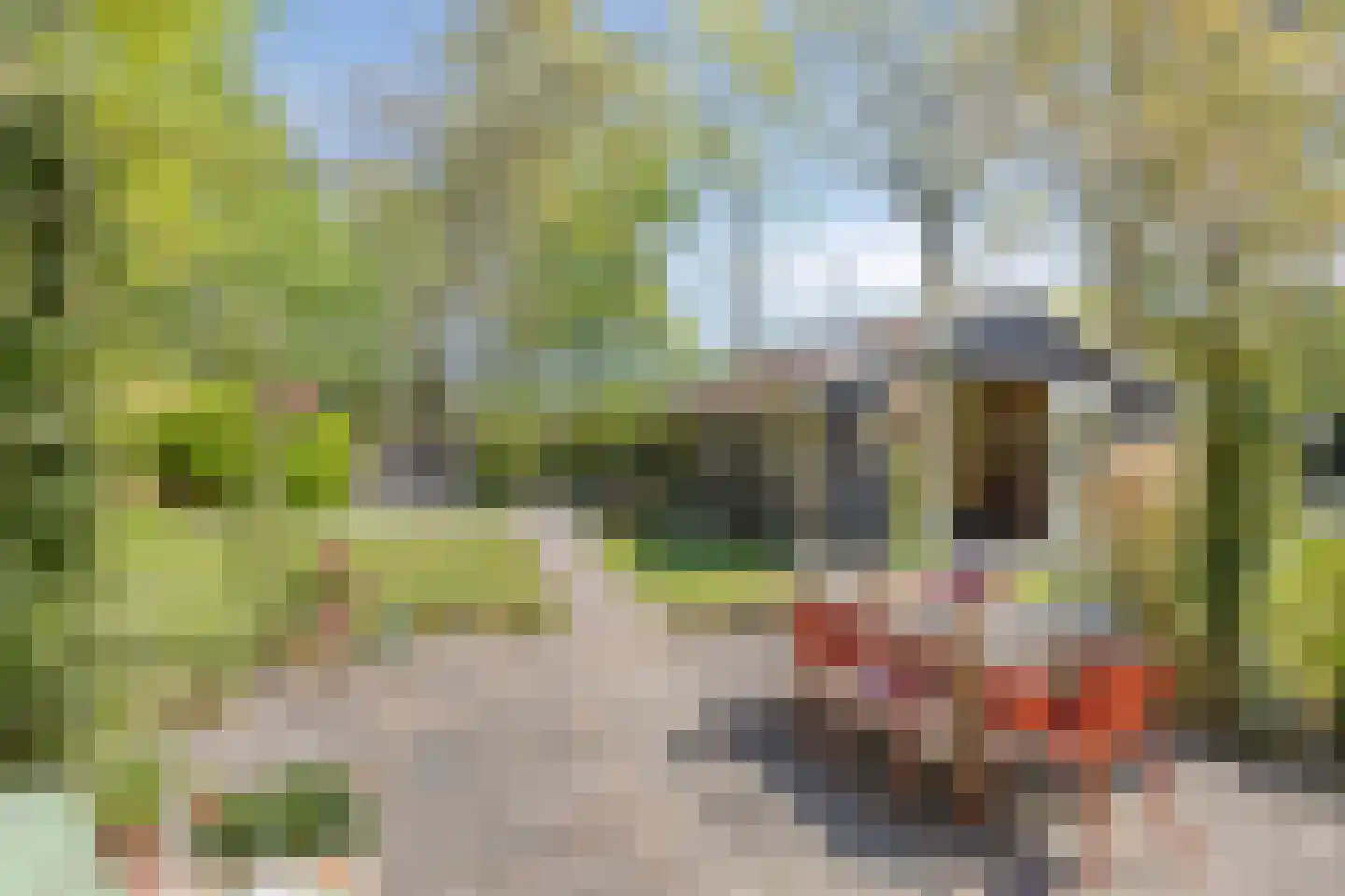 Brinkerinkweg 4 a Barchem thumbnail 53