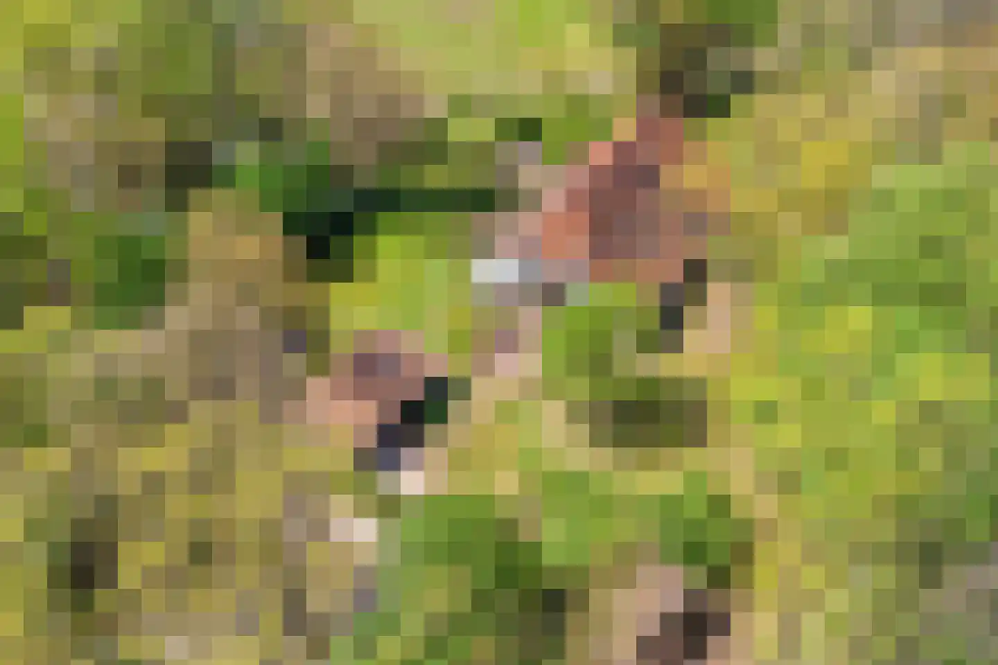 Brinkerinkweg 4 a Barchem thumbnail 6