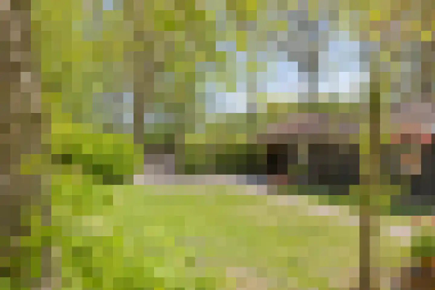 Brinkerinkweg 4 a Barchem thumbnail 60
