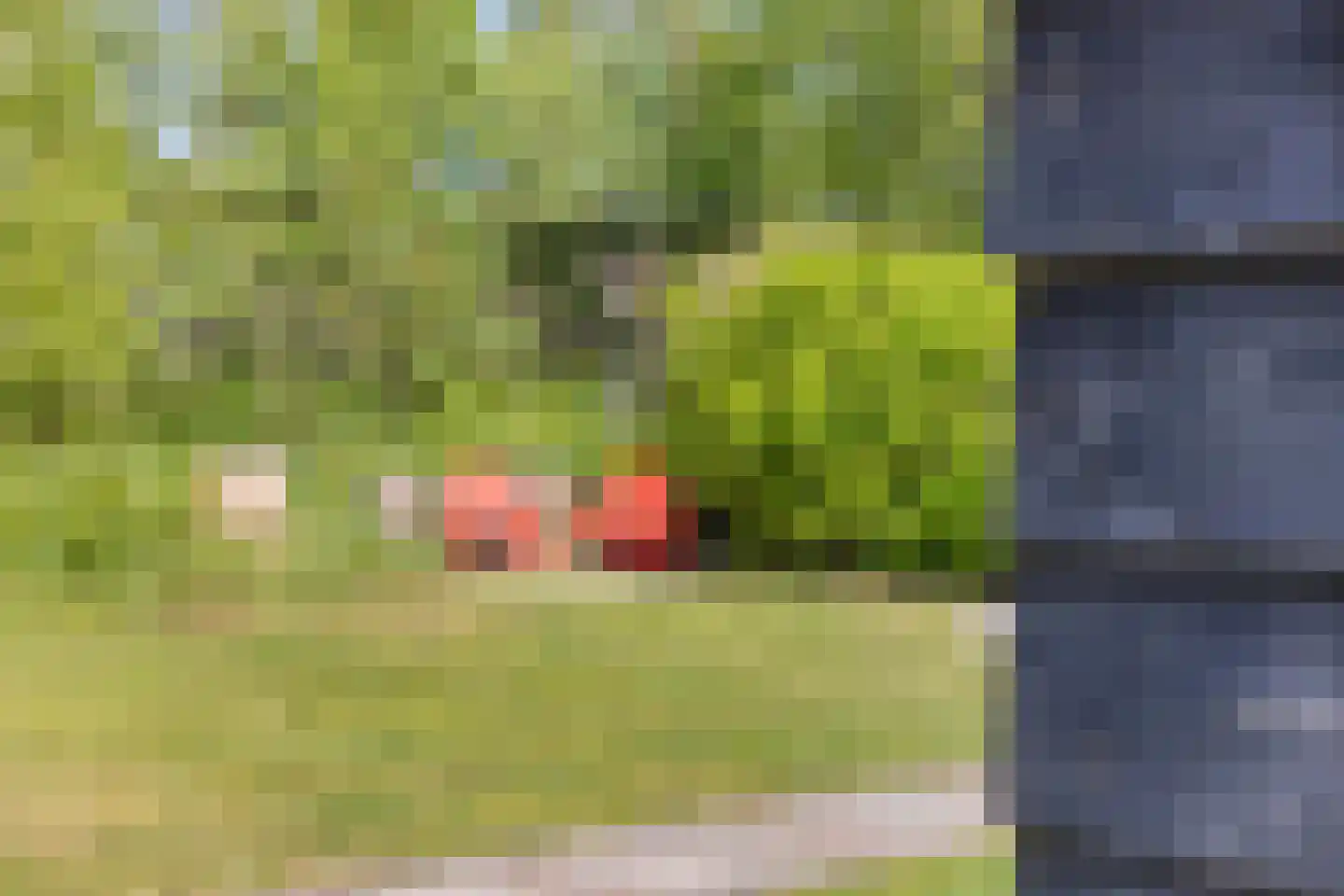 Brinkerinkweg 4 a Barchem thumbnail 61