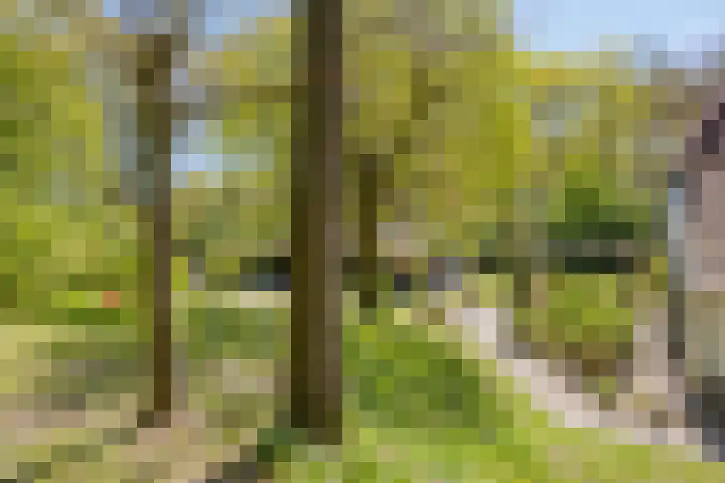 Brinkerinkweg 4 a Barchem thumbnail 62