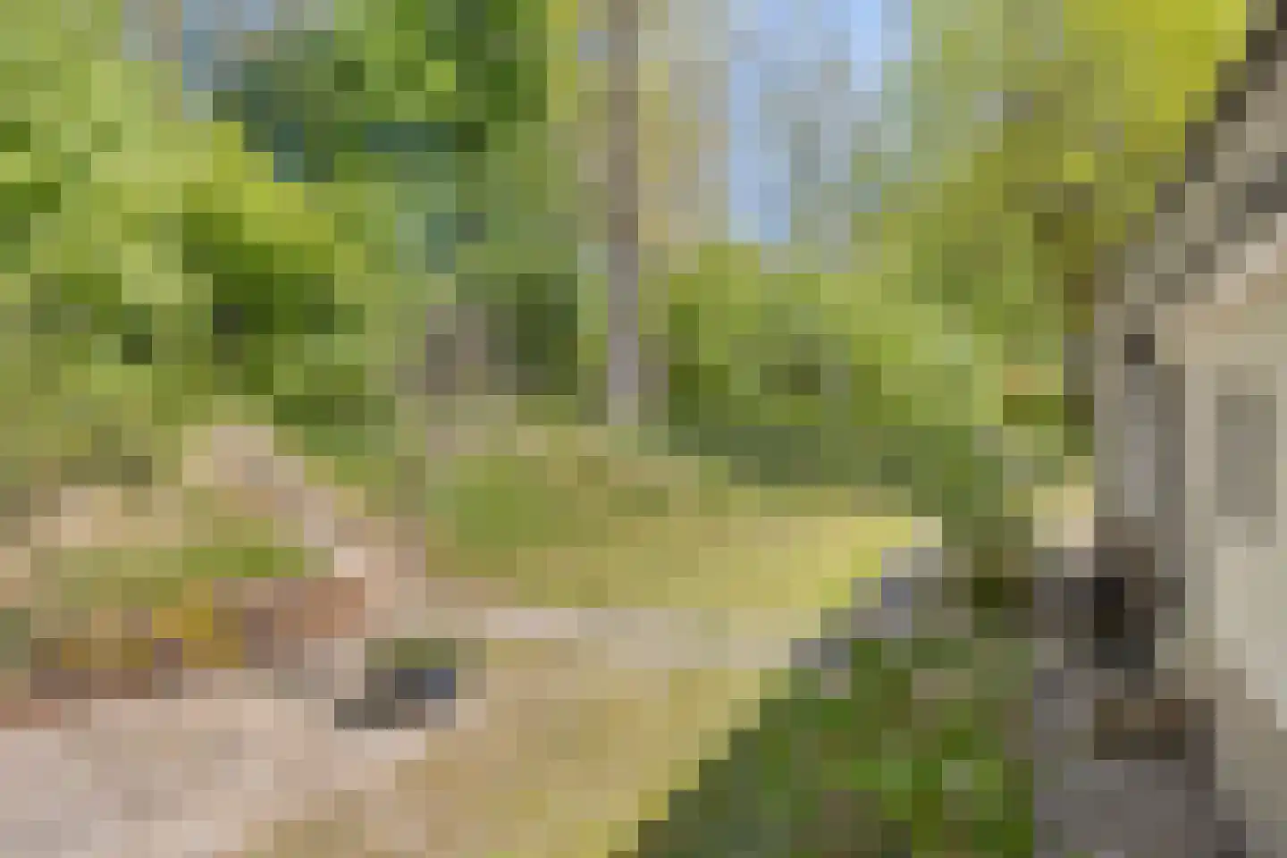 Brinkerinkweg 4 a Barchem thumbnail 63