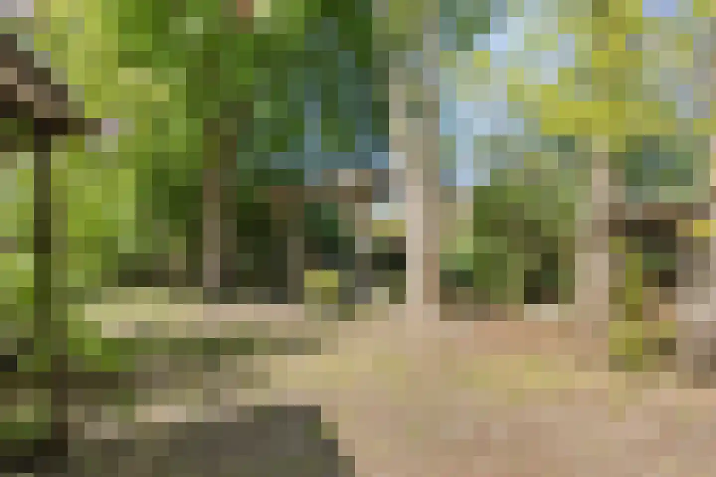 Brinkerinkweg 4 a Barchem thumbnail 65