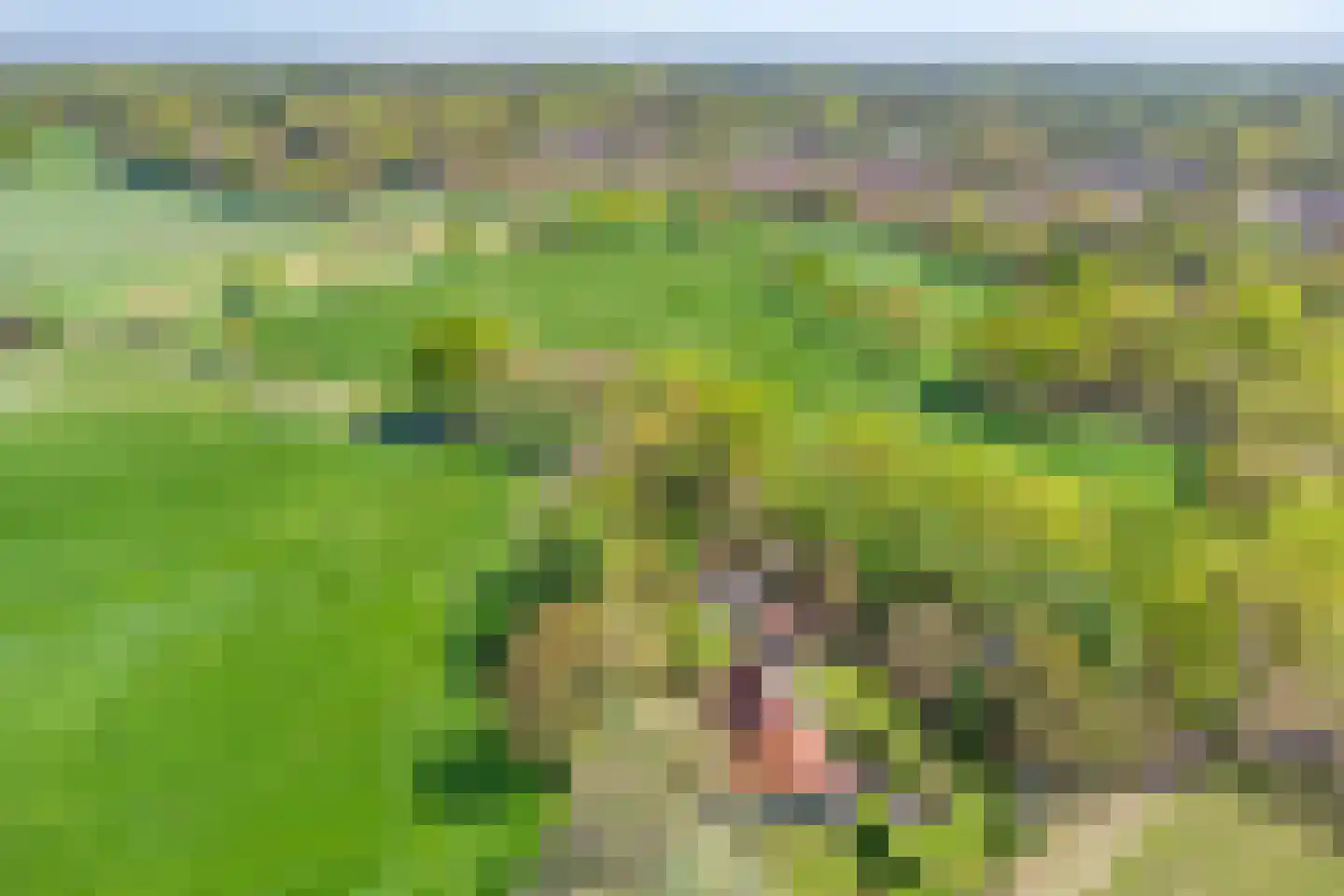 Brinkerinkweg 4 a Barchem thumbnail 7