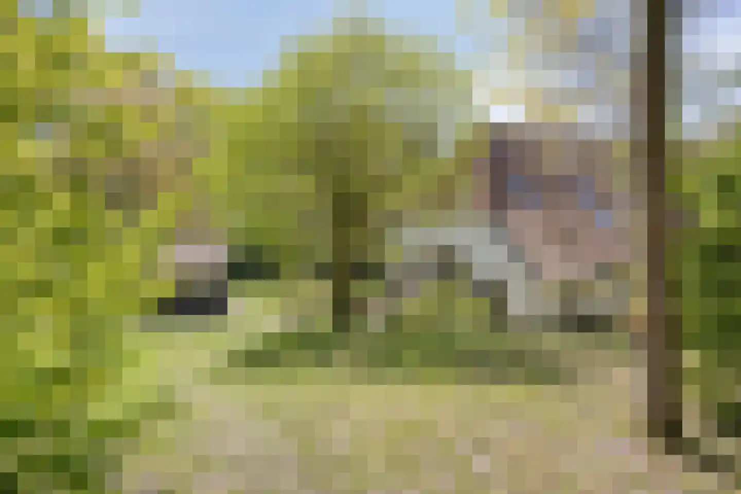 Brinkerinkweg 4 a Barchem thumbnail 70
