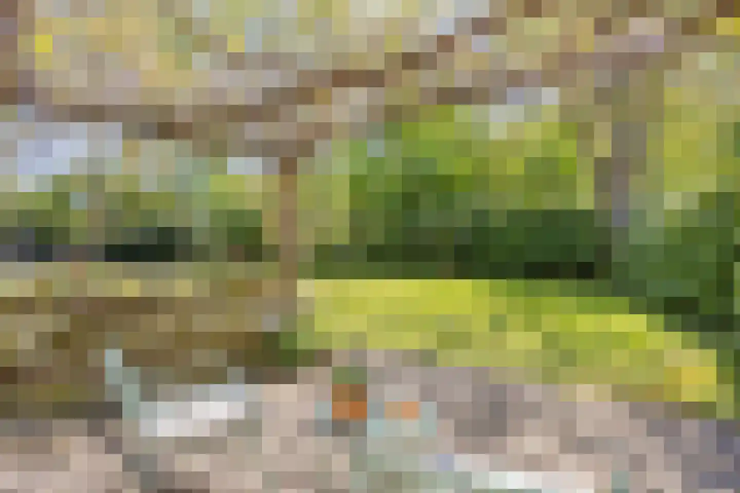 Brinkerinkweg 4 a Barchem thumbnail 71