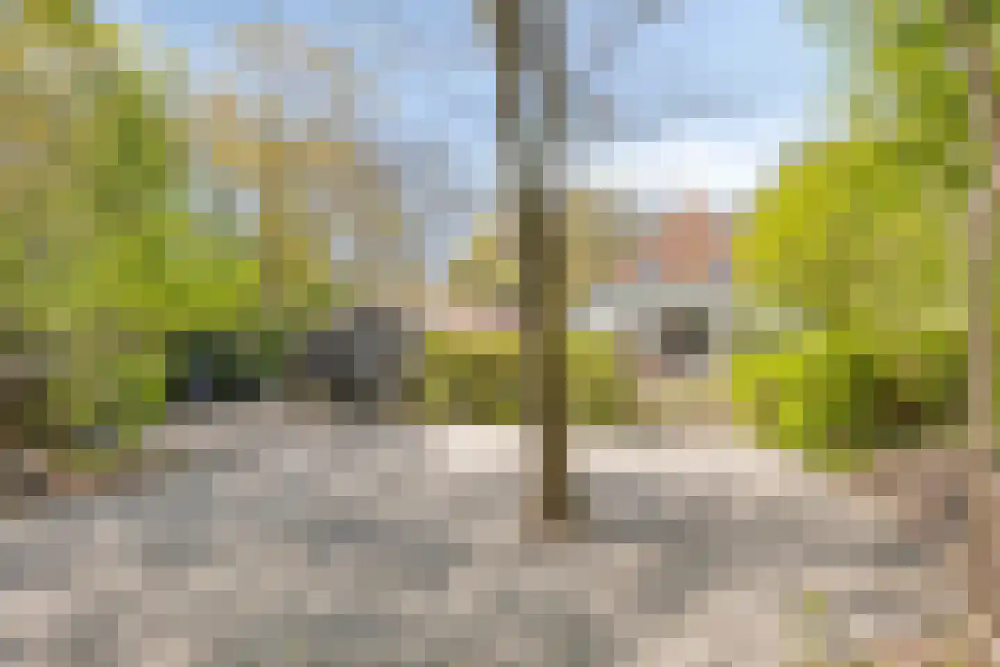 Brinkerinkweg 4 a Barchem thumbnail 74
