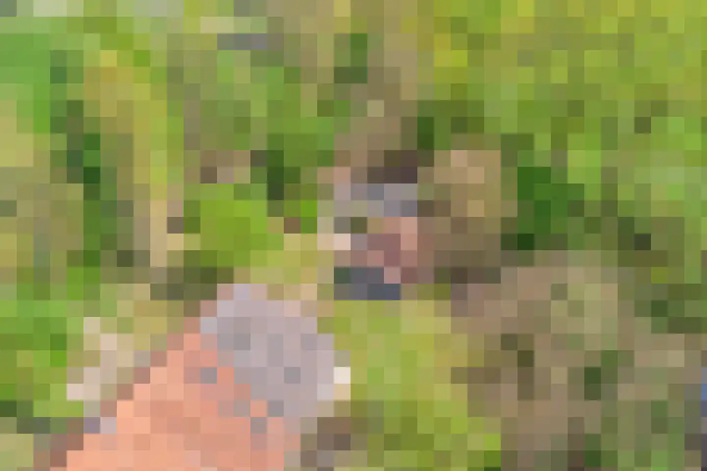 Brinkerinkweg 4 a Barchem thumbnail 77