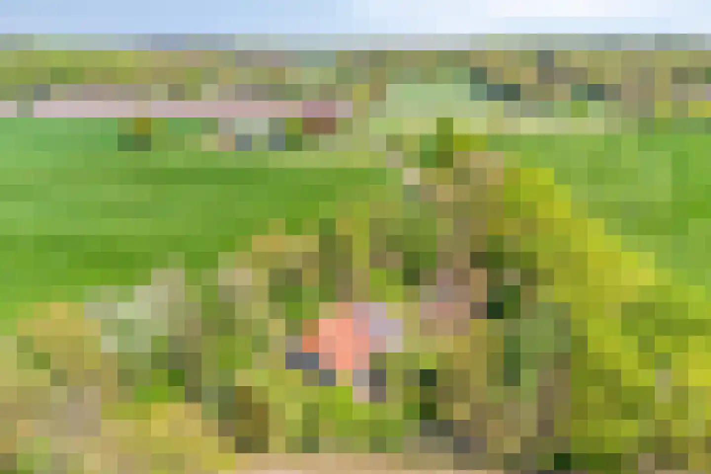 Brinkerinkweg 4 a Barchem thumbnail 78