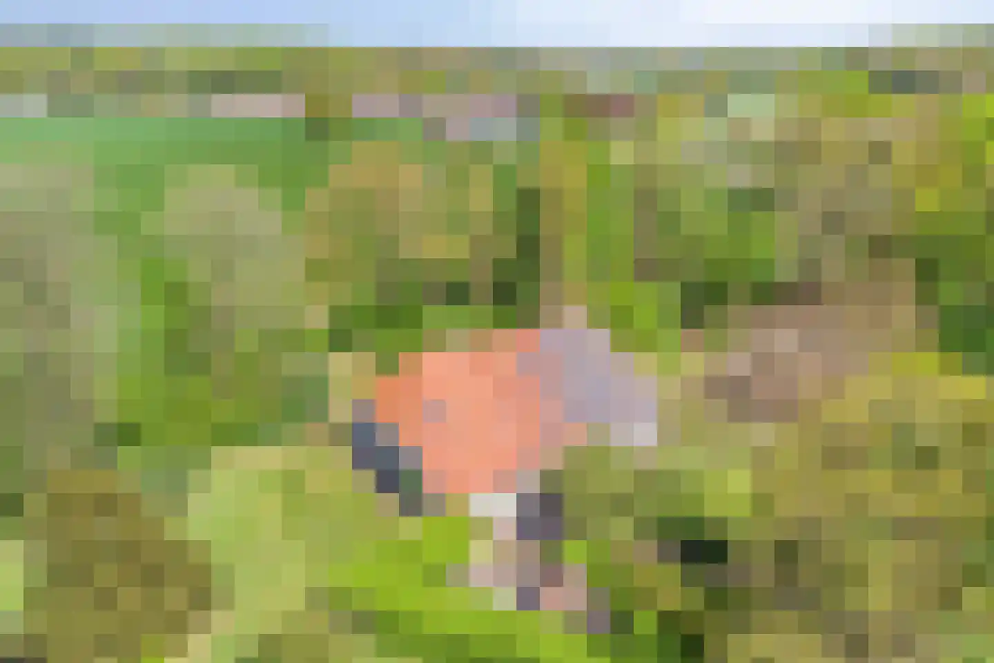 Brinkerinkweg 4 a Barchem thumbnail 79