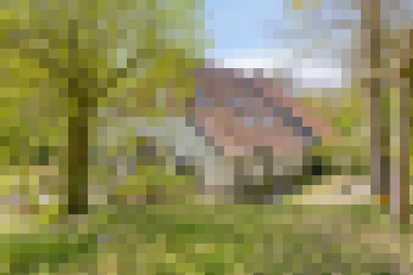 Brinkerinkweg 4 a Barchem thumbnail 8