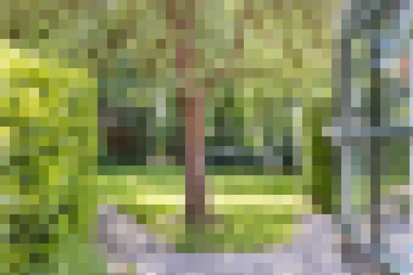 Brinkerinkweg 4 Barchem thumbnail 30