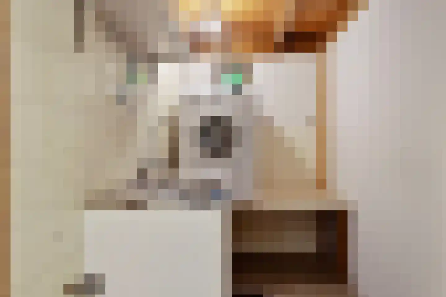Brinkerinkweg 4 Barchem thumbnail 37