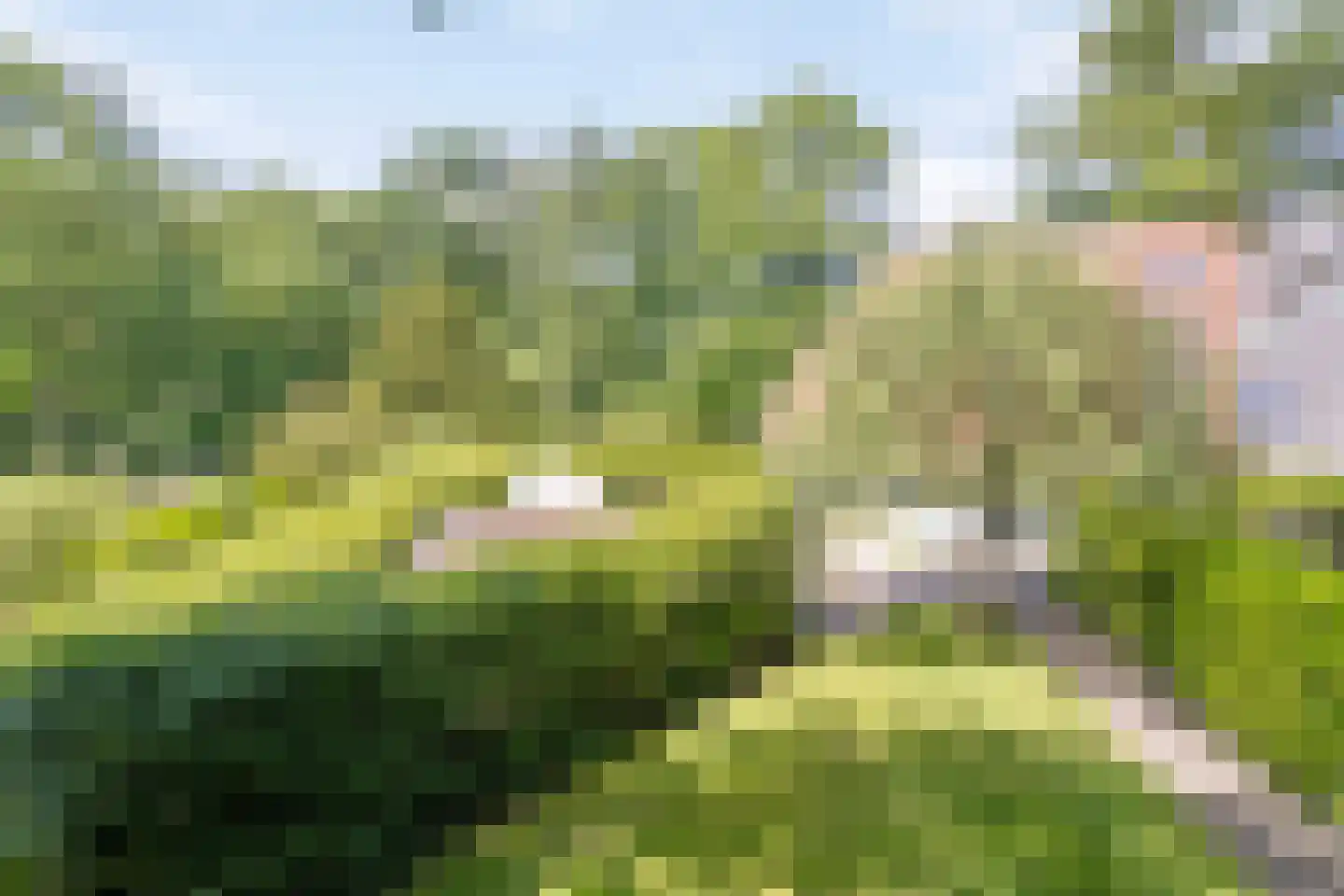 Brinkerinkweg 4 Barchem thumbnail 53