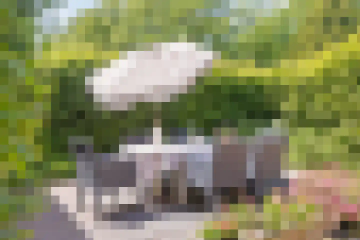 Brinkerinkweg 4 Barchem thumbnail 55