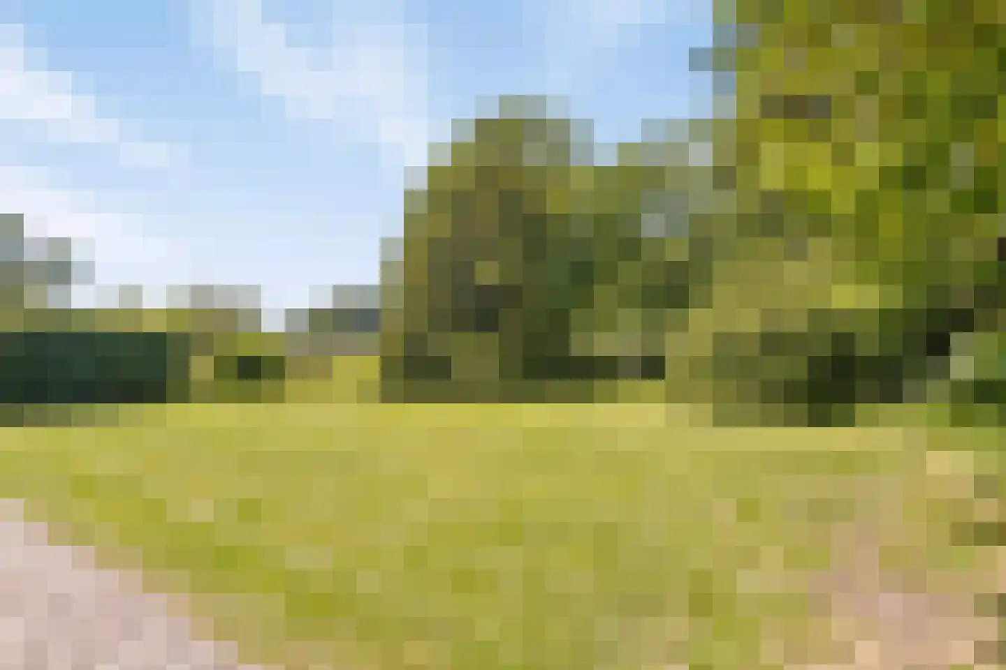 Brinkerinkweg 4 Barchem thumbnail 56
