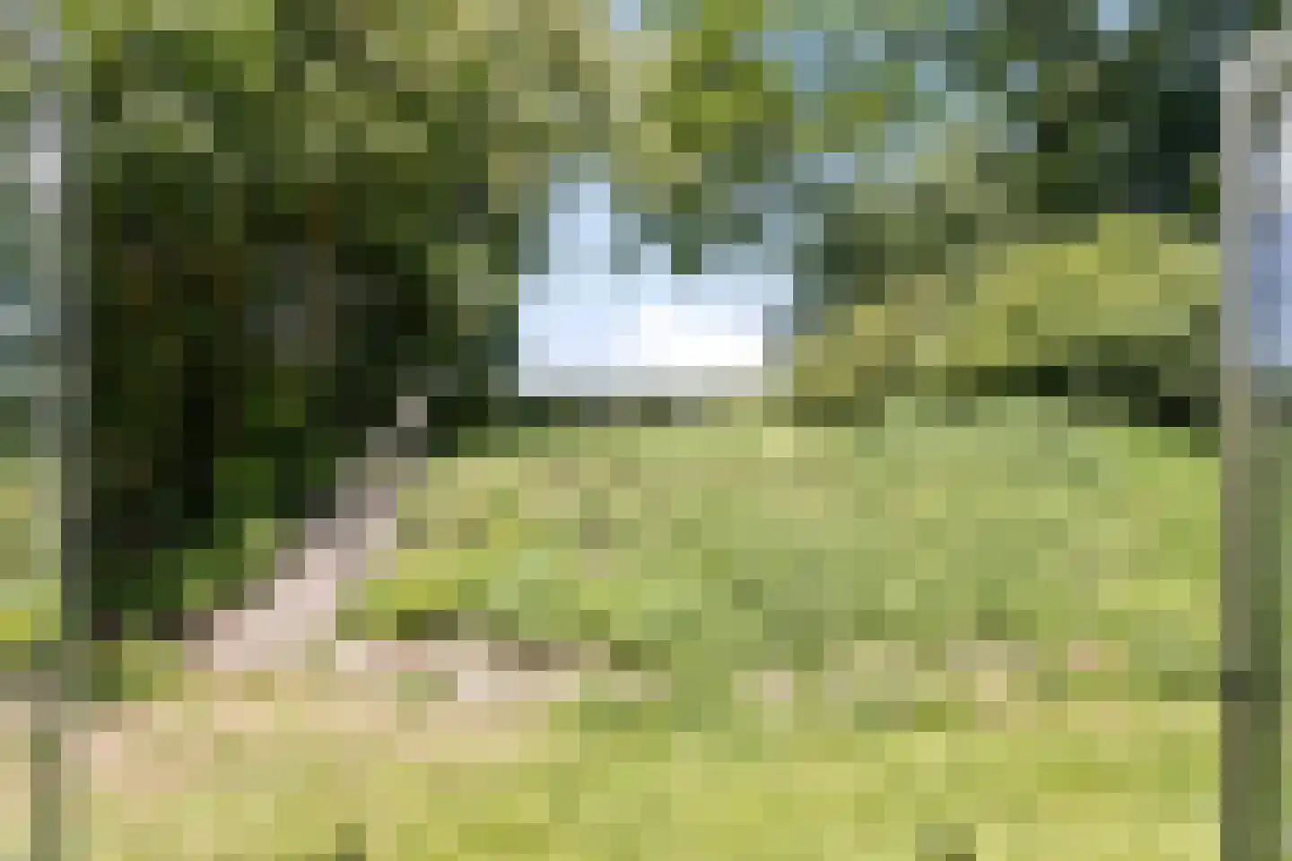 Brinkerinkweg 4 Barchem thumbnail 58