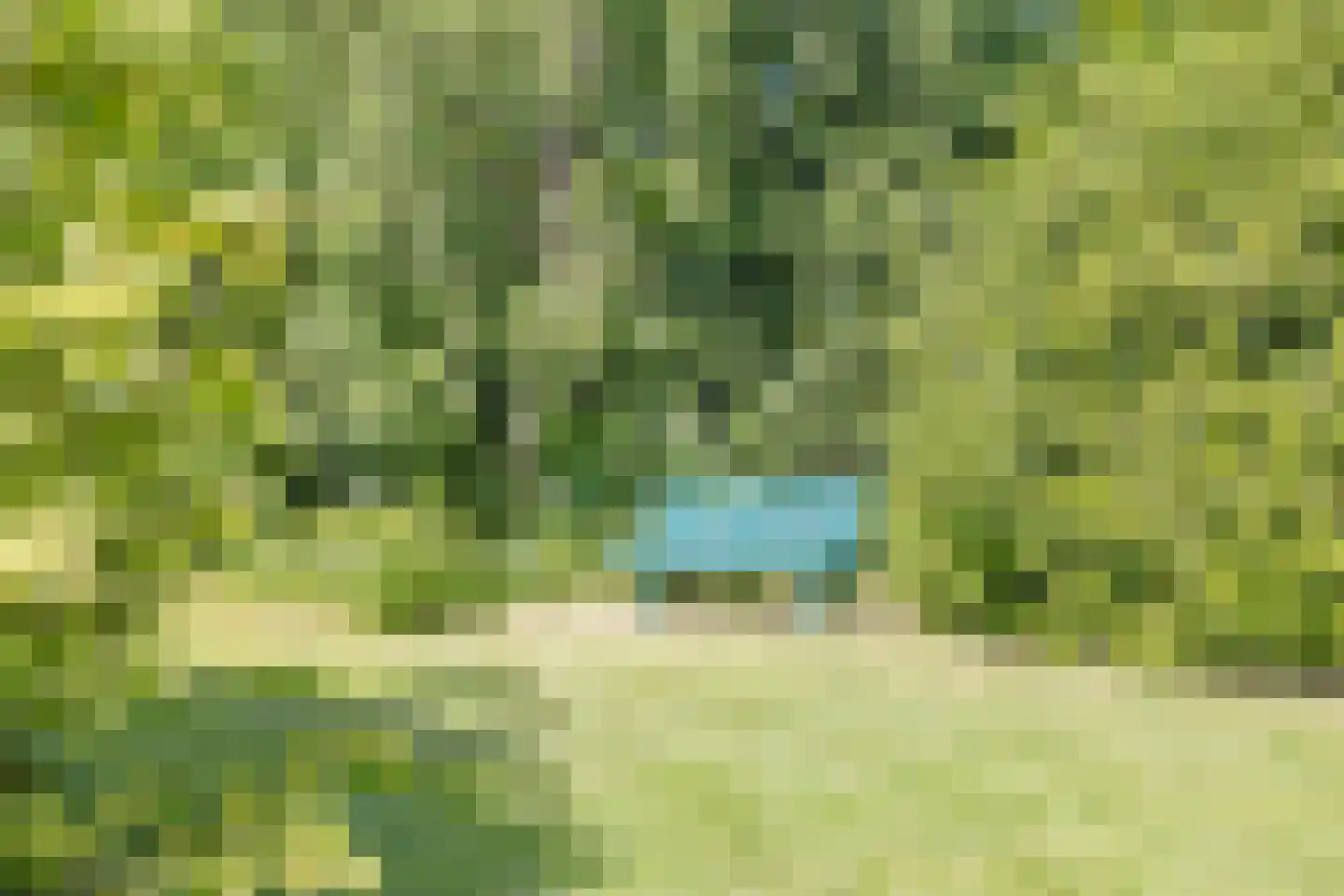 Brinkerinkweg 4 Barchem thumbnail 60