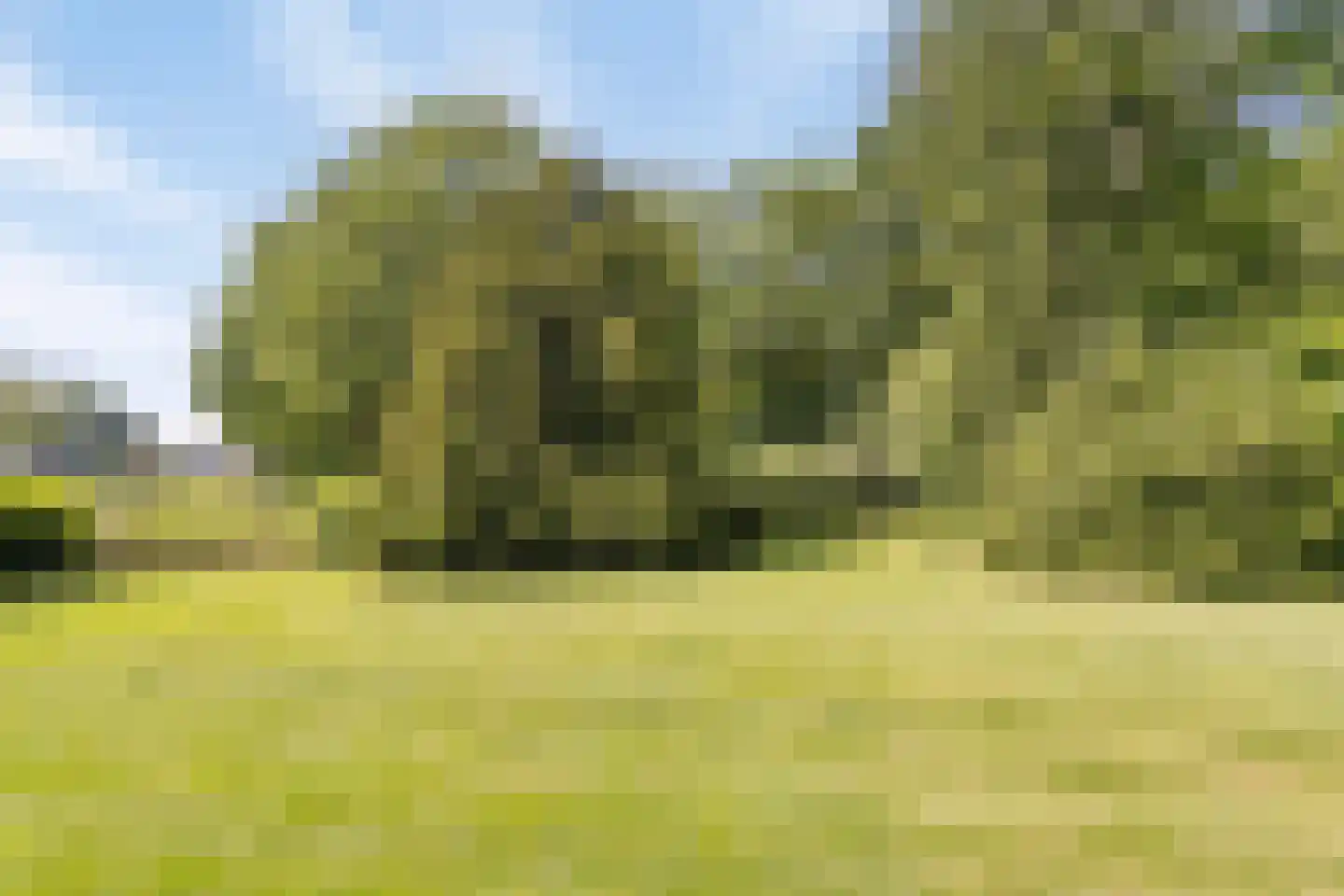 Brinkerinkweg 4 Barchem thumbnail 61