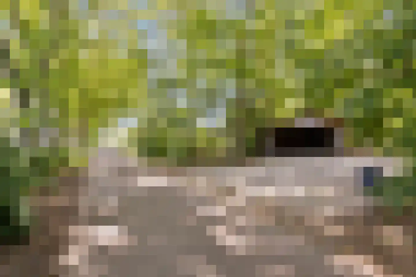Brinkerinkweg 4 Barchem thumbnail 62