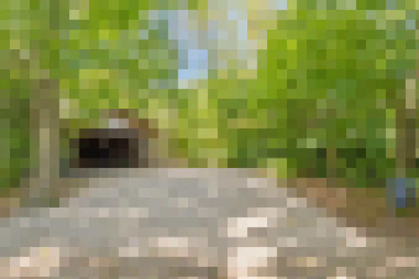 Brinkerinkweg 4 Barchem thumbnail 63